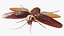 Flying Cockroach Rigged