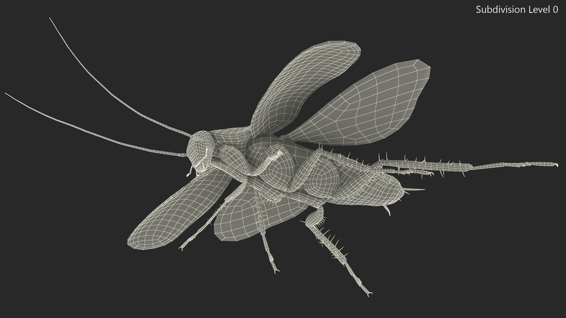 3D model Flying Cockroach Rigged https://p.turbosquid.com/ts-thumb/uG/RVgzvl/D6/flyingcockroachriggedmb3dmodel030/jpg/1684484987/1920x1080/fit_q87/12c9bfc37ae6cb5bb8f506056661e3c31667106a/flyingcockroachriggedmb3dmodel030.jpg