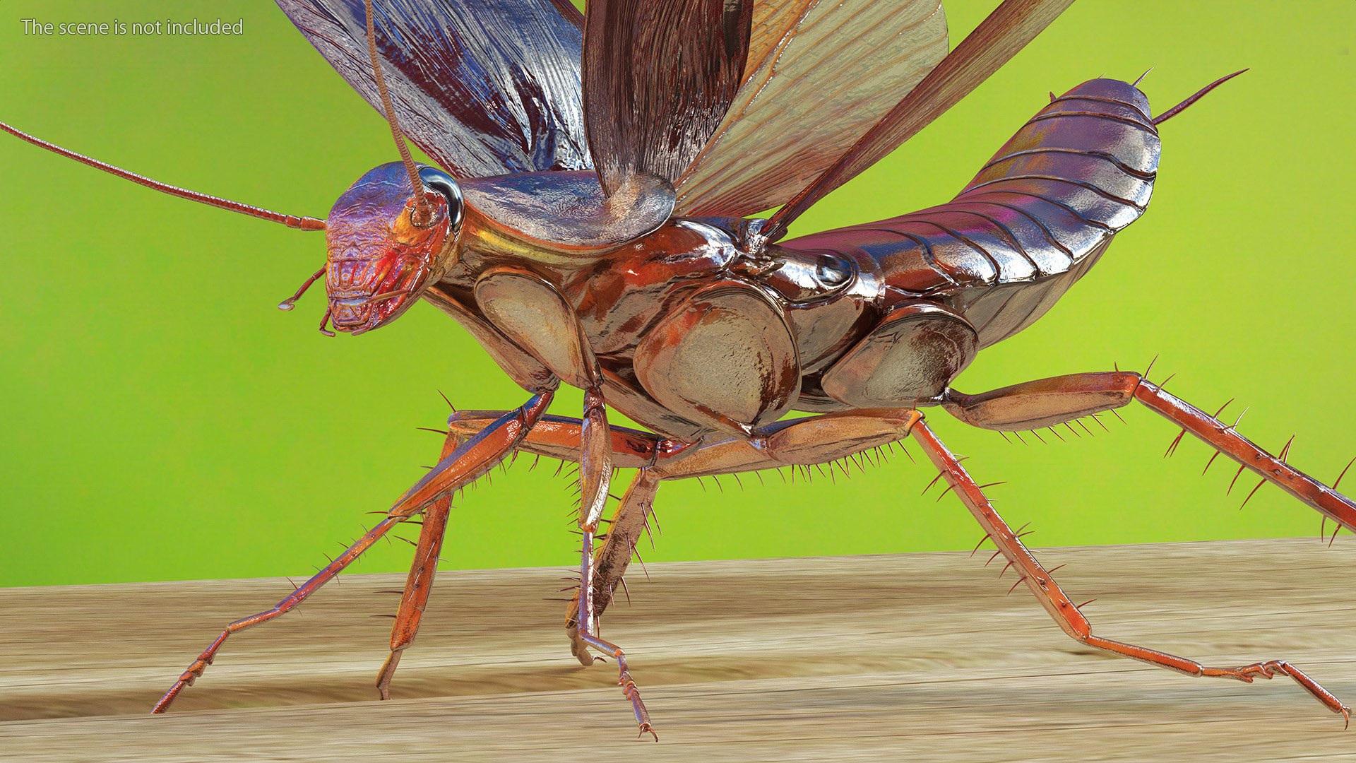 3D model Flying Cockroach Rigged https://p.turbosquid.com/ts-thumb/uG/RVgzvl/JY/flyingcockroachriggedmb3dmodel015/jpg/1684484939/1920x1080/fit_q87/60f0f75aaa003ae8c277d6fd2088abfe46642855/flyingcockroachriggedmb3dmodel015.jpg