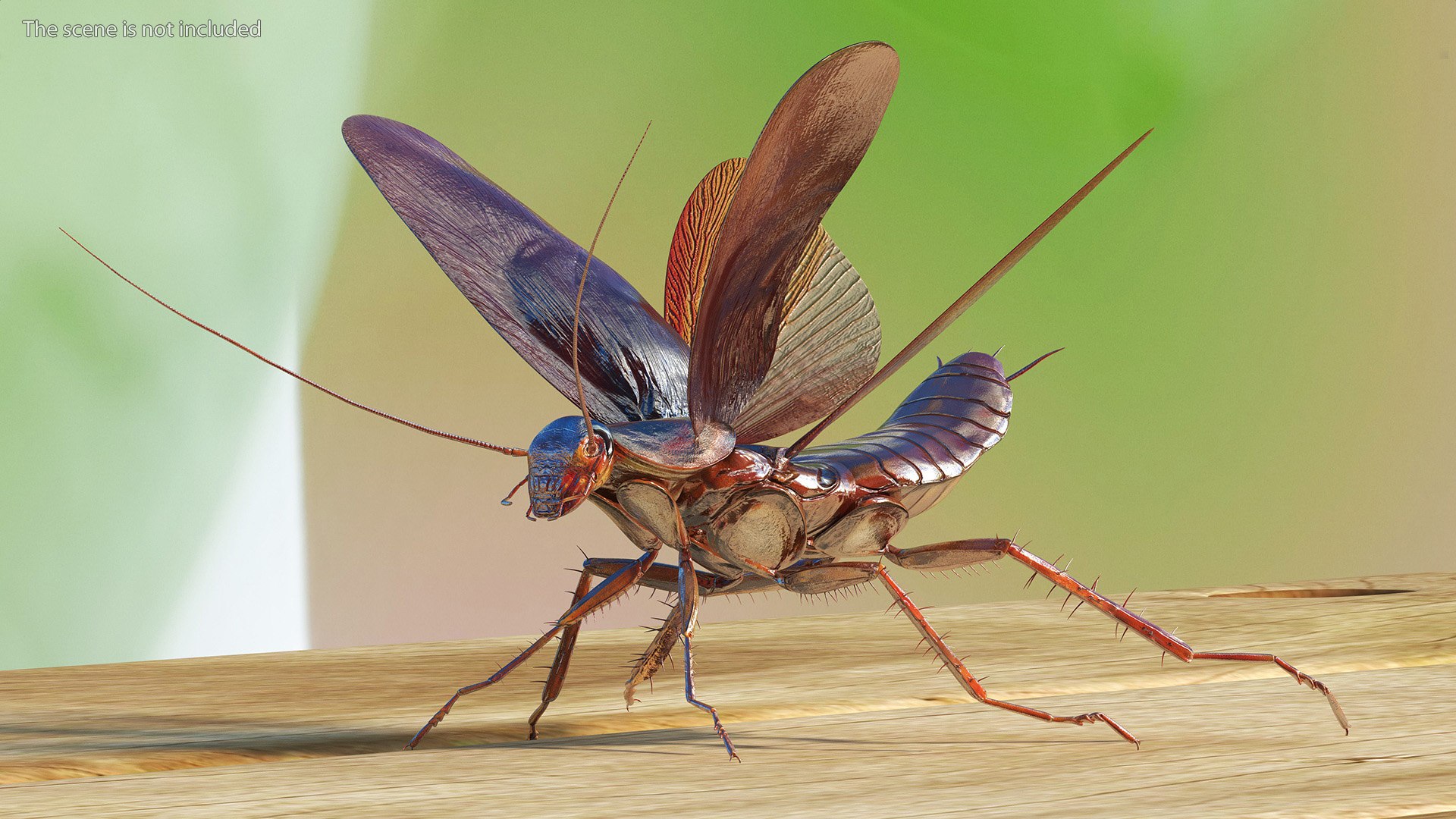 3D model Flying Cockroach Rigged https://p.turbosquid.com/ts-thumb/uG/RVgzvl/Kk/flyingcockroachriggedmb3dmodel011/jpg/1684484924/1920x1080/fit_q87/b7a804670d275397654283553364d5fbc2d5e056/flyingcockroachriggedmb3dmodel011.jpg
