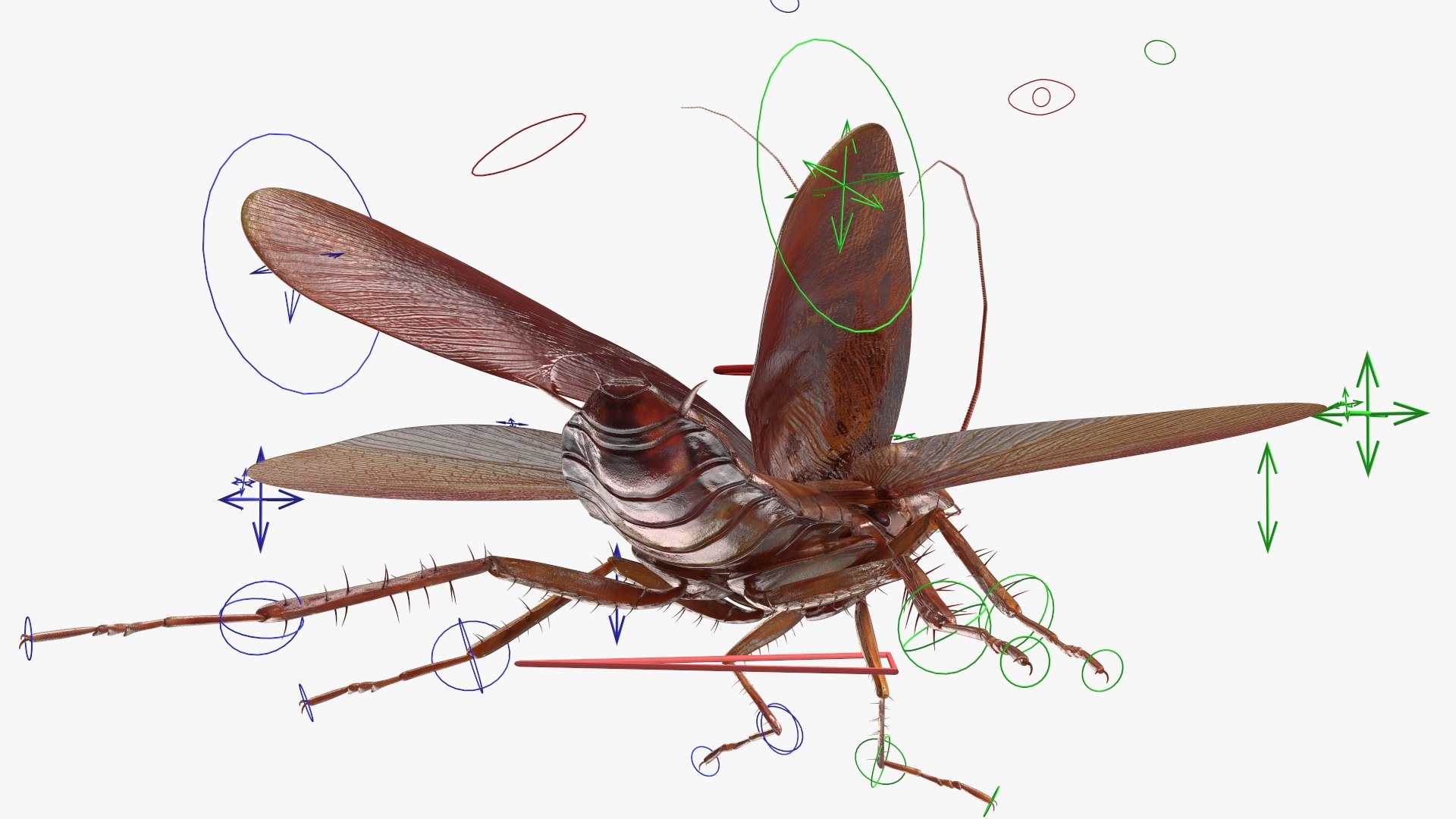 3D model Flying Cockroach Rigged https://p.turbosquid.com/ts-thumb/uG/RVgzvl/M6/flyingcockroachriggedmb3dmodel004/jpg/1684484901/1920x1080/fit_q87/baddb193f86c532ab867d33cd5fd3d5ce4ce5731/flyingcockroachriggedmb3dmodel004.jpg
