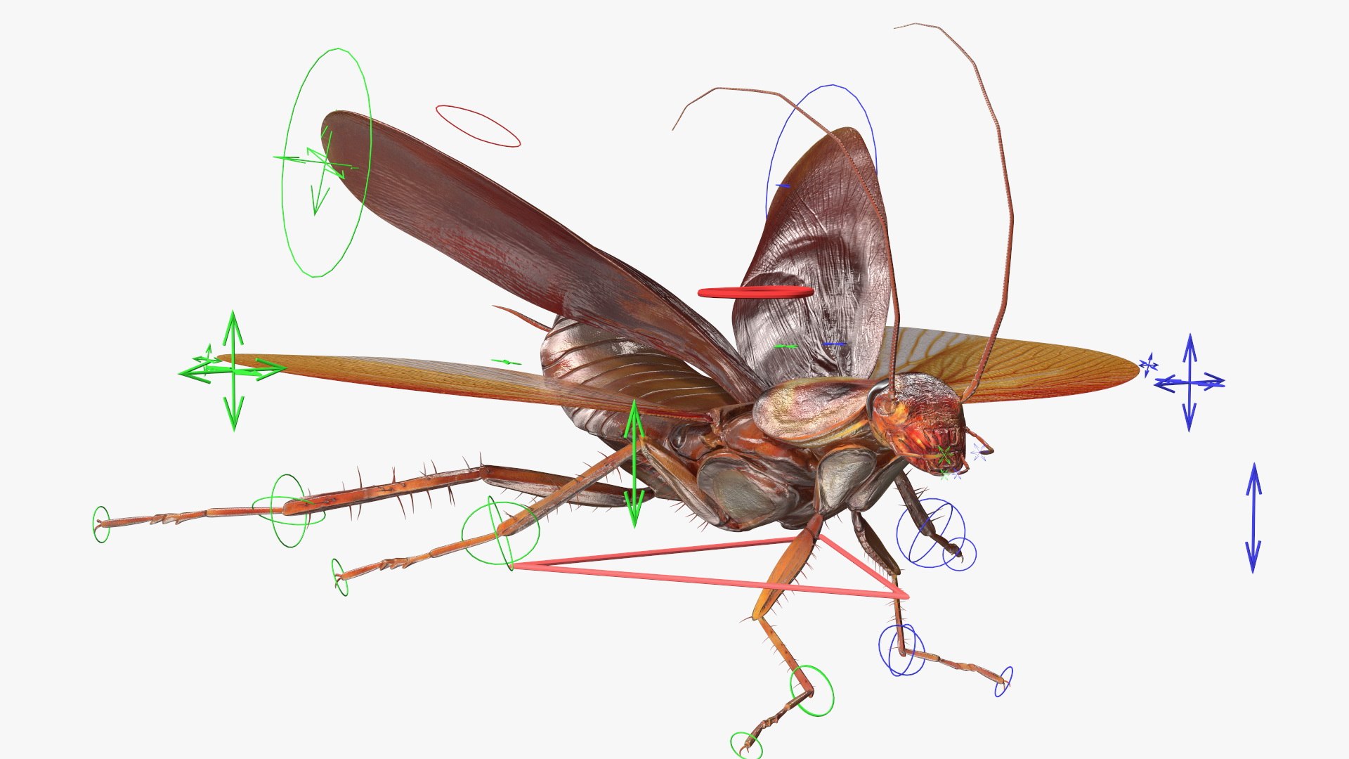 3D model Flying Cockroach Rigged https://p.turbosquid.com/ts-thumb/uG/RVgzvl/UR/flyingcockroachriggedmb3dmodel002/jpg/1684484895/1920x1080/fit_q87/1a38773e5d998b6cb0726e020b4782e1c1125afd/flyingcockroachriggedmb3dmodel002.jpg