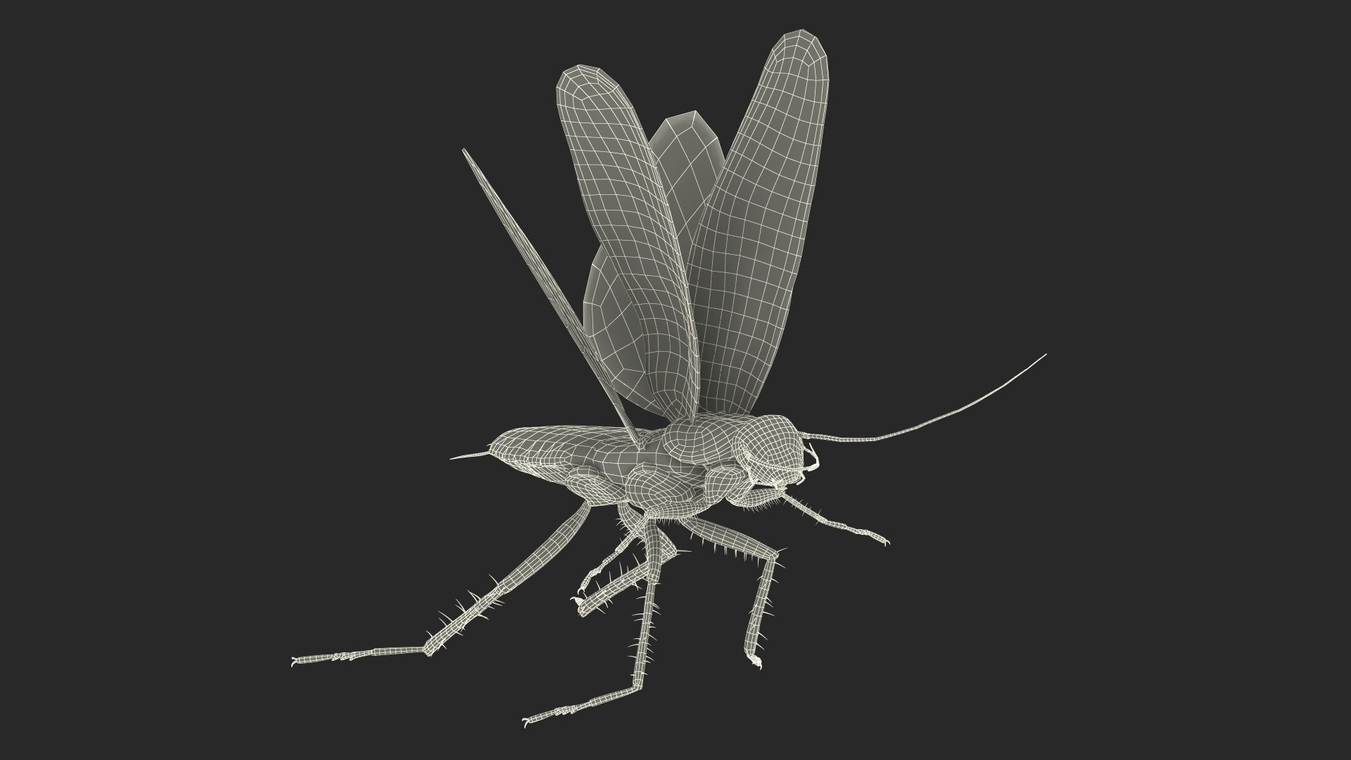 3D model Flying Cockroach Rigged https://p.turbosquid.com/ts-thumb/uG/RVgzvl/vJ/flyingcockroachriggedmb3dmodel038/jpg/1684485014/1920x1080/fit_q87/ffa6e990a833cf63655b0a962cdf6da0a168435d/flyingcockroachriggedmb3dmodel038.jpg