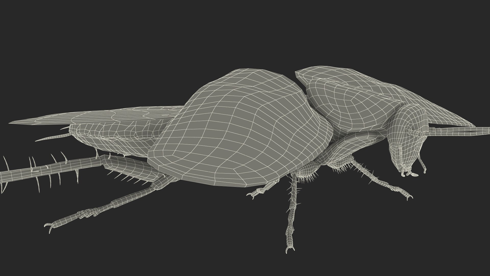 3D model Flying Cockroach Rigged https://p.turbosquid.com/ts-thumb/uG/RVgzvl/xu/flyingcockroachriggedmb3dmodel037/jpg/1684485011/1920x1080/fit_q87/52cf0b0fd827bf60e91fa5f7306dbee10181ad97/flyingcockroachriggedmb3dmodel037.jpg