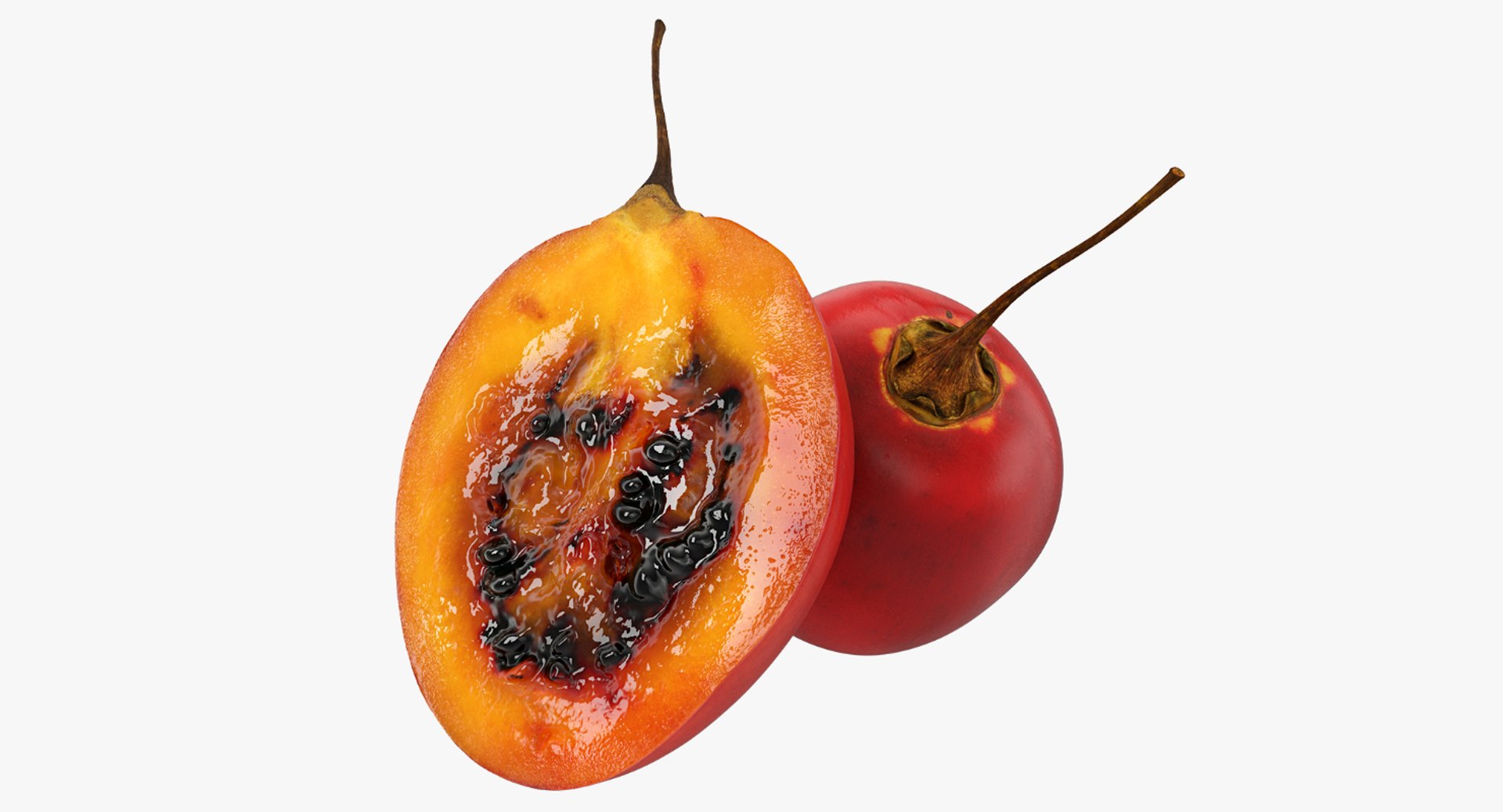 Tree Tomato Tamarillo Whole and Half 3D Model 3D model preview