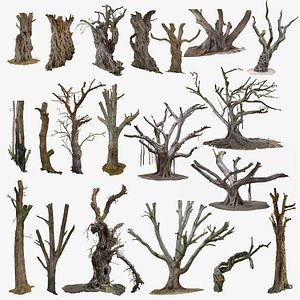 3D 20 TREES BUNDLE SCANS COLLECTION 3D TREE PACK model