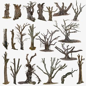 20 TREES BUNDLE SCANS COLLECTION 3D TREE PACK