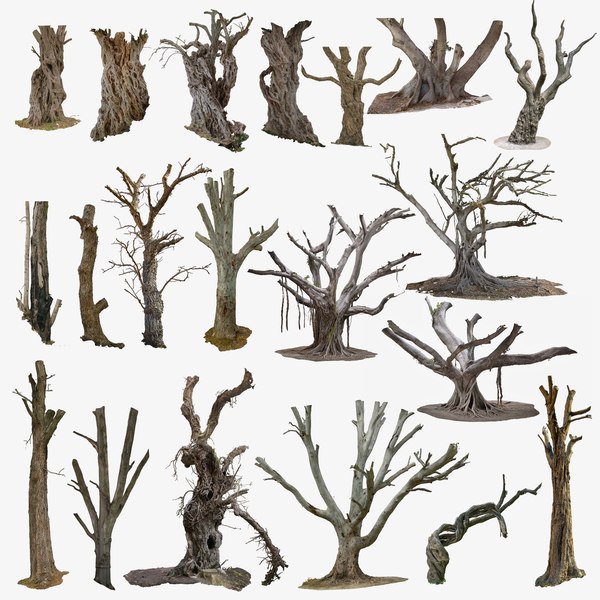 olive tree obj