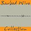 Barbed Wire Collection