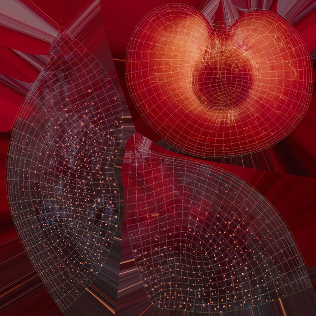 3D Plum 03 https://p.turbosquid.com/ts-thumb/uH/3aAk2n/c9/plum03_d0004/jpg/1682793981/1920x1080/fit_q87/616f9fcf4ae5dbf7ae83c158a264dacfa86cfcbd/plum03_d0004.jpg