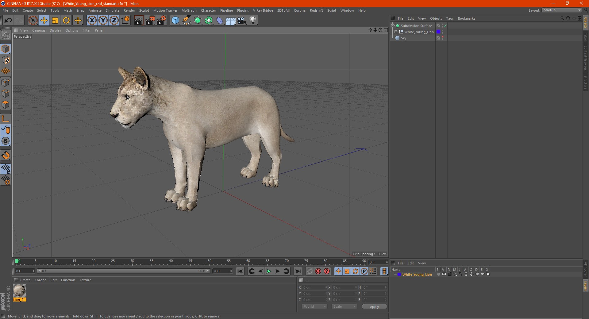3D White Young Lion model https://p.turbosquid.com/ts-thumb/uH/7kJM9x/Dt/whiteyounglionc4dmodel022/jpg/1625068802/1920x1080/fit_q87/3e158bbf9f280e811842a4aae33567a7a3d90b4c/whiteyounglionc4dmodel022.jpg