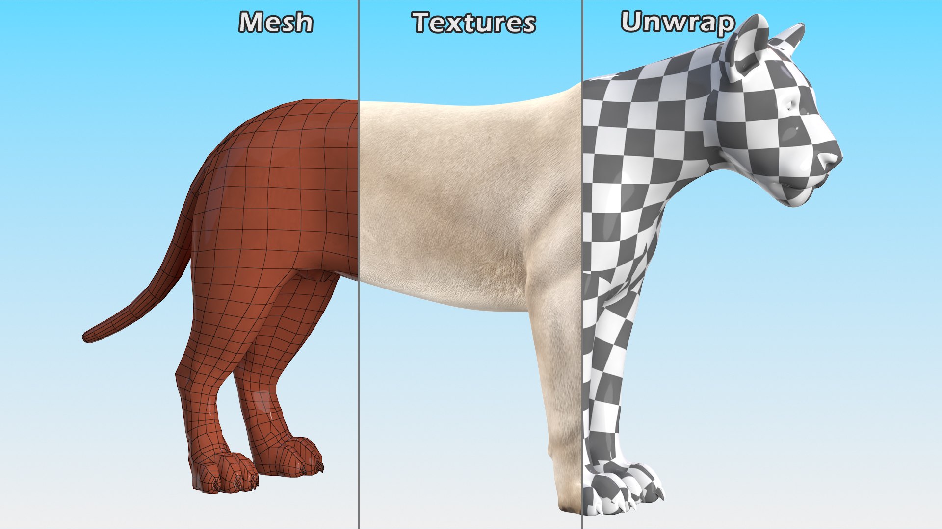 3D White Young Lion model https://p.turbosquid.com/ts-thumb/uH/7kJM9x/G0/whiteyounglionc4dmodel016/jpg/1625068789/1920x1080/fit_q87/a29ff578c95cdfc6a3a88d777da5ac229bcbd43a/whiteyounglionc4dmodel016.jpg