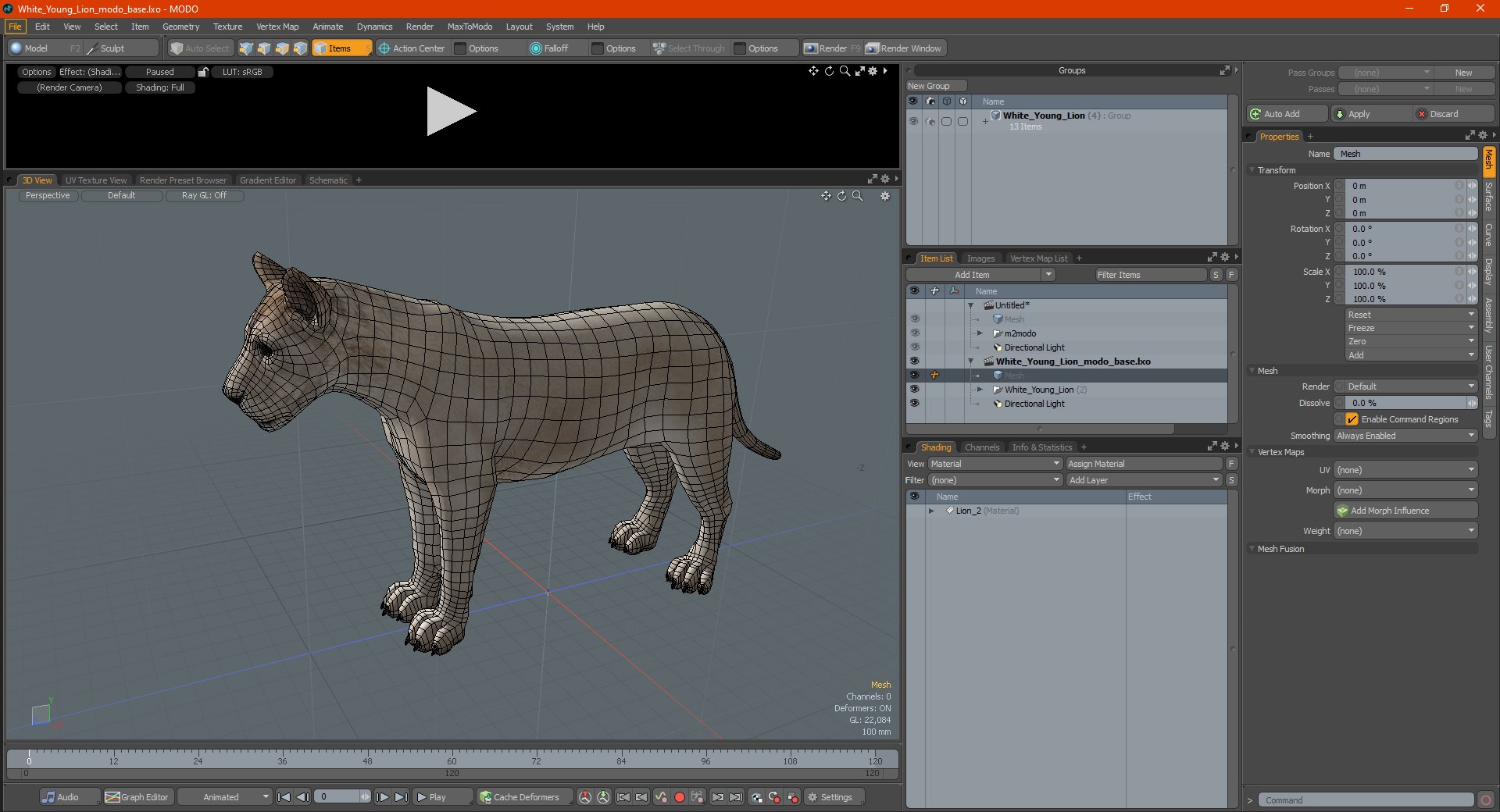3D White Young Lion model https://p.turbosquid.com/ts-thumb/uH/7kJM9x/T4/whiteyounglionc4dmodel025/jpg/1625068811/1920x1080/fit_q87/f20706e3395aa0c44cf0bc37017195cffab37b1f/whiteyounglionc4dmodel025.jpg