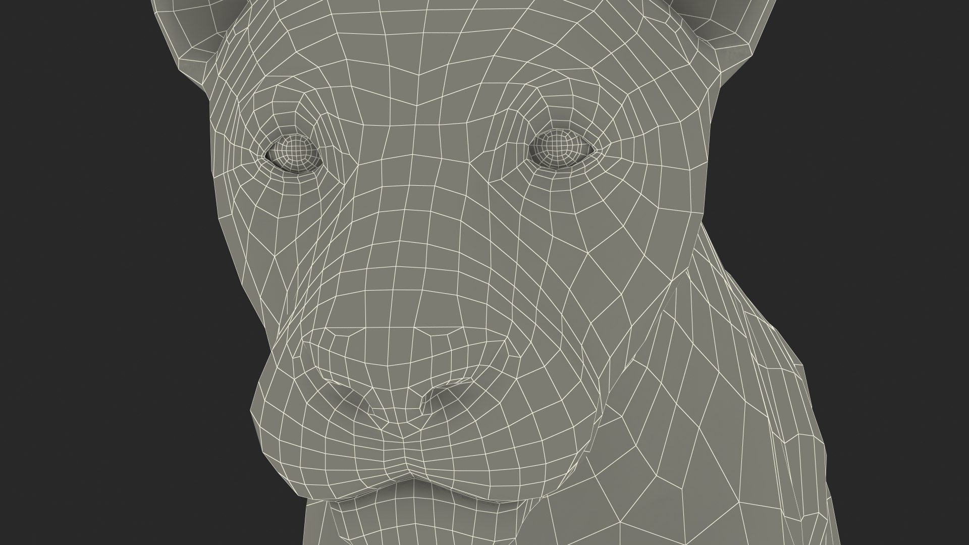 3D White Young Lion model https://p.turbosquid.com/ts-thumb/uH/7kJM9x/cJ/whiteyounglionc4dmodel032/jpg/1625068829/1920x1080/fit_q87/9e59a2760c643280413cedc02789c55191ef8947/whiteyounglionc4dmodel032.jpg