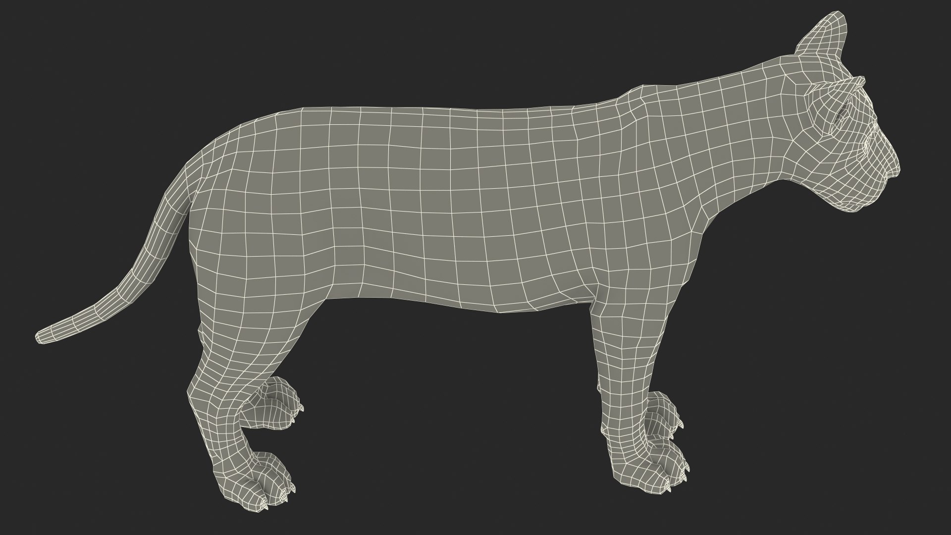 3D White Young Lion model https://p.turbosquid.com/ts-thumb/uH/7kJM9x/u3/whiteyounglionc4dmodel028/jpg/1625068819/1920x1080/fit_q87/b40d9a51f9007988e4588bb7db48cbab2aa99fd7/whiteyounglionc4dmodel028.jpg
