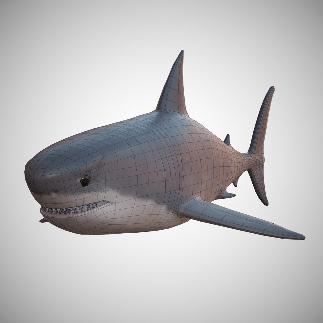 3D shark great white - TurboSquid 1167404