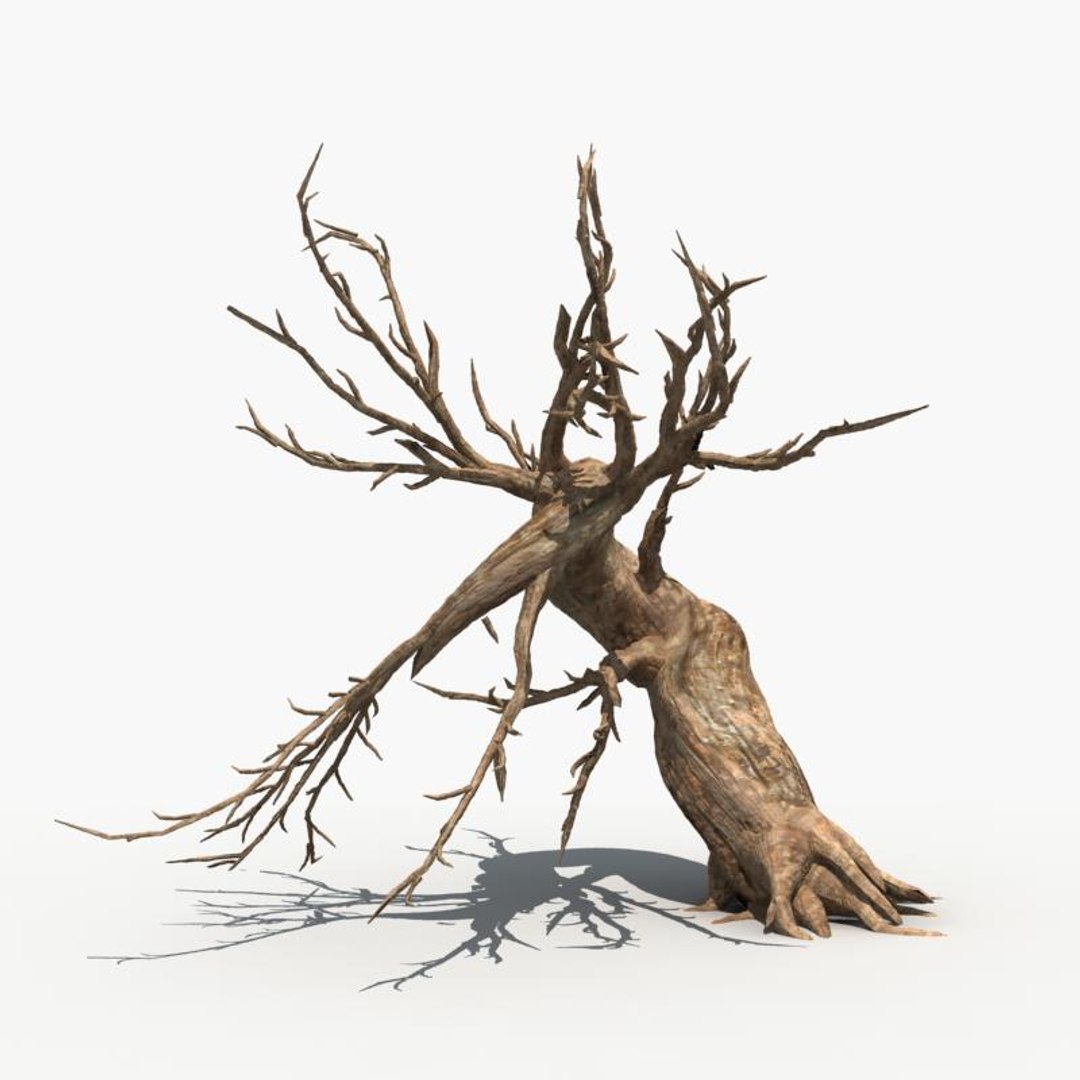 Scary Tree Dry 3d Model