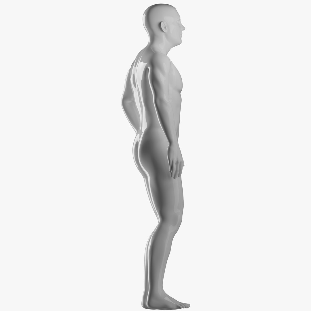 Rigged Male and Female Mannequin model https://p.turbosquid.com/ts-thumb/uH/GIvsDZ/1Y/male360pose55/png/1716516574/1920x1080/fit_q87/aea6c5912cf75736e959e7b470ade50423ef1ec0/male360pose55.jpg