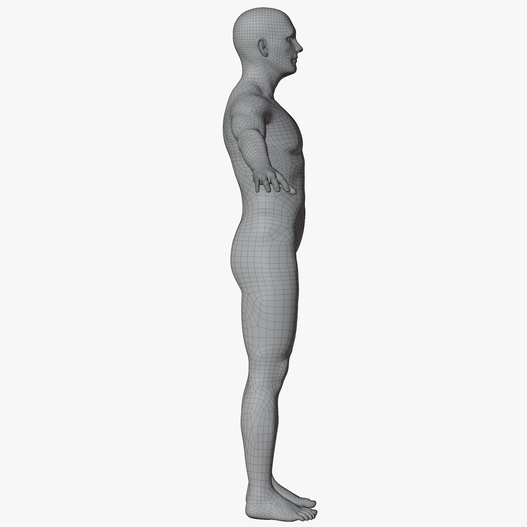 Rigged Male and Female Mannequin model https://p.turbosquid.com/ts-thumb/uH/GIvsDZ/BO/maleaposewire7/png/1716514323/1920x1080/fit_q87/5fe70187ce02e79b596fff9a30f970838fa669f9/maleaposewire7.jpg