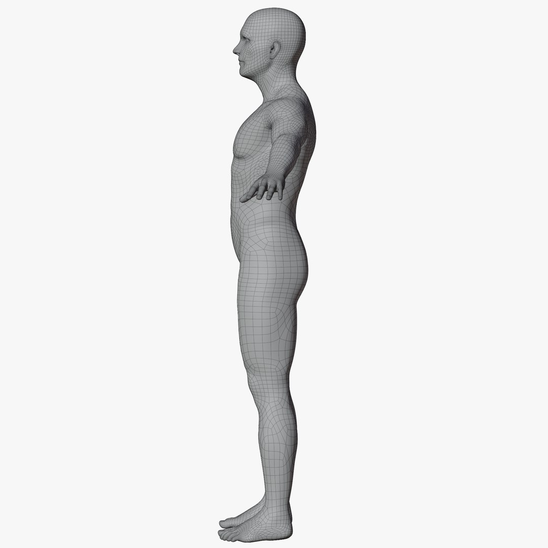 Rigged Male and Female Mannequin model https://p.turbosquid.com/ts-thumb/uH/GIvsDZ/CL/maleaposewire3/png/1716514326/1920x1080/fit_q87/b0b15f7839727d6ea25703108faf5a04a3130fec/maleaposewire3.jpg