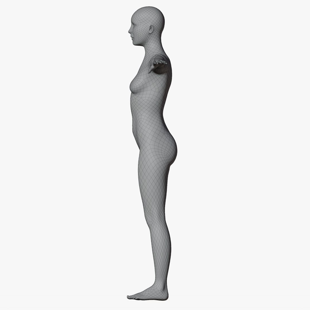 Rigged Male and Female Mannequin model https://p.turbosquid.com/ts-thumb/uH/GIvsDZ/Nr/wire360fema3/png/1716517143/1920x1080/fit_q87/58b6f7428ed23b02620f610831462f3469aa0b84/wire360fema3.jpg