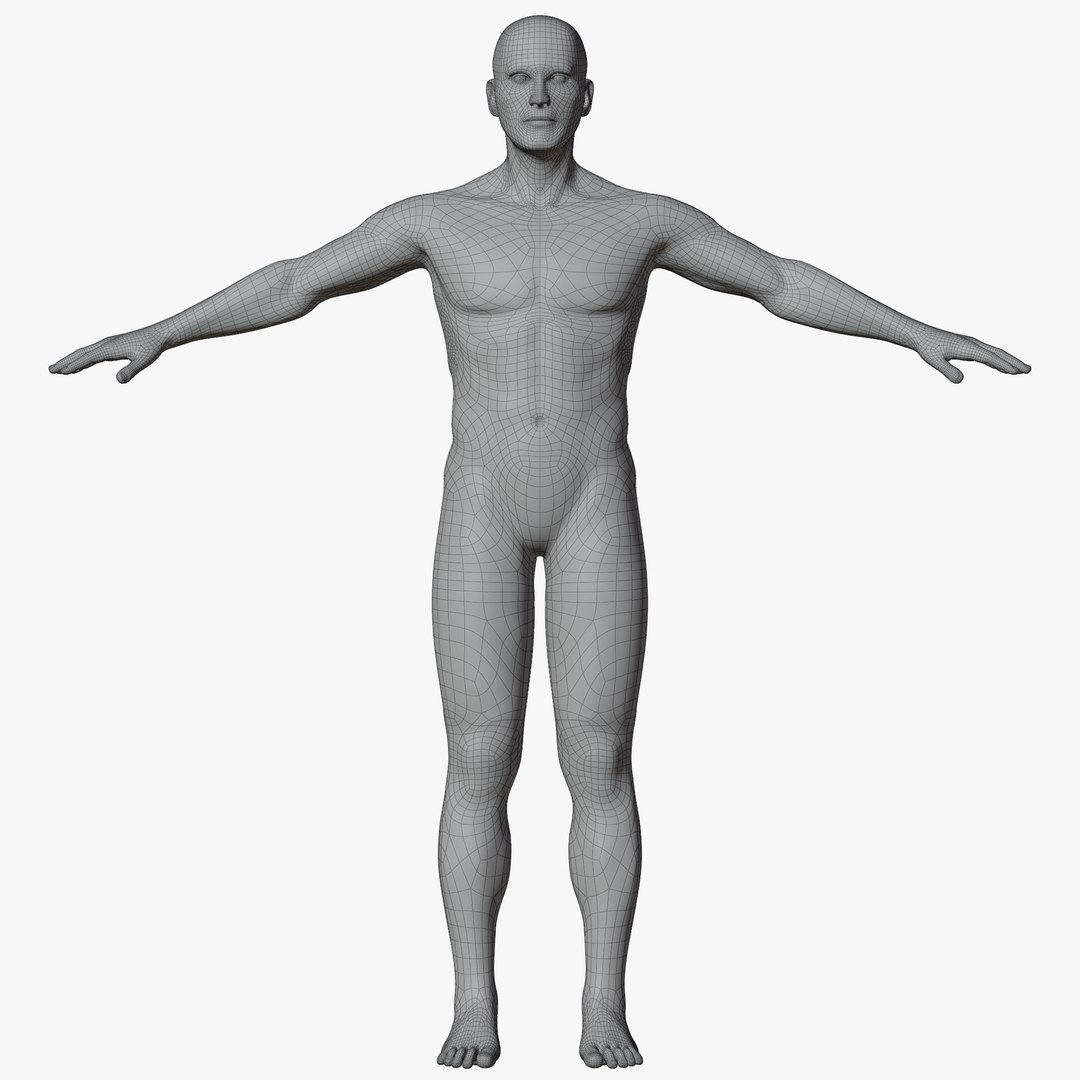 Rigged Male and Female Mannequin model https://p.turbosquid.com/ts-thumb/uH/GIvsDZ/TX/maleaposewire1/png/1716514327/1920x1080/fit_q87/2123cc91dca804b952022b0f988cd9439ac86a15/maleaposewire1.jpg