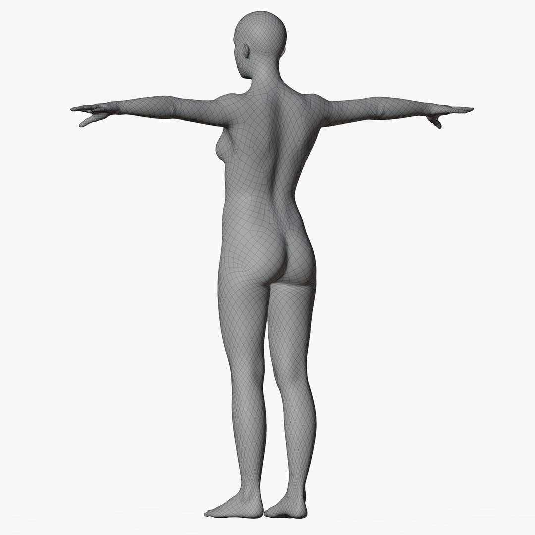 Rigged Male and Female Mannequin model https://p.turbosquid.com/ts-thumb/uH/GIvsDZ/aZ/wire360fema4/png/1716517145/1920x1080/fit_q87/a56086953cefaeecd874bea71a0c045c120e6cdc/wire360fema4.jpg