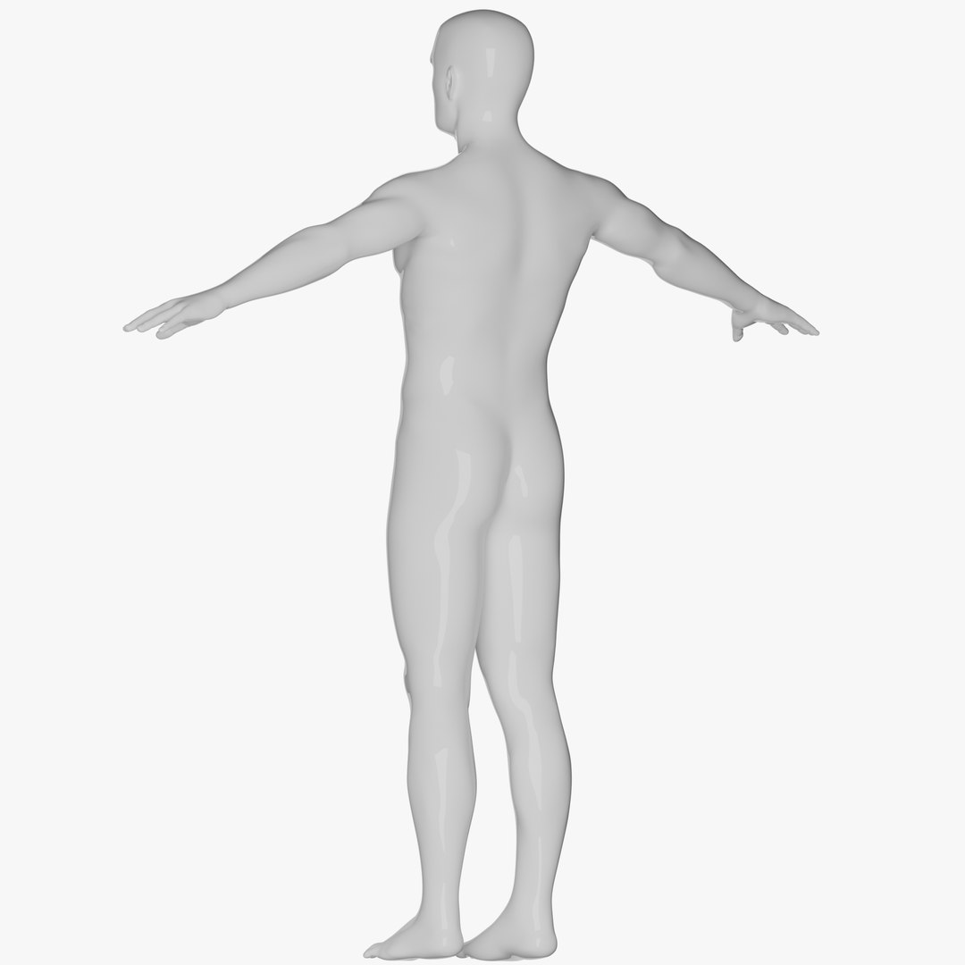 Rigged Male and Female Mannequin model https://p.turbosquid.com/ts-thumb/uH/GIvsDZ/b3/maleapose4/png/1716513887/1920x1080/fit_q87/bfa58274be511e3a73c8e323328db94d03d9dd97/maleapose4.jpg