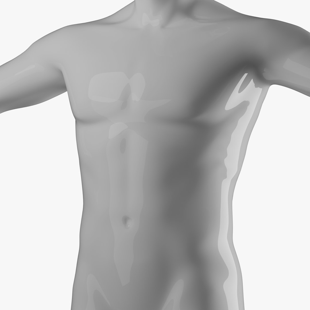 Rigged Male and Female Mannequin model https://p.turbosquid.com/ts-thumb/uH/GIvsDZ/e5/add2/png/1716513930/1920x1080/fit_q87/00403cde0aaff4d7e960afc14add188e65ffa0a7/add2.jpg