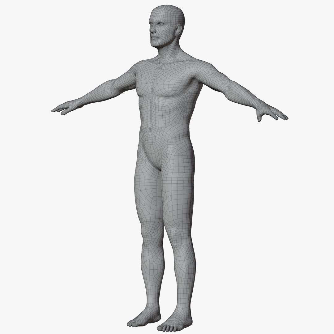 Rigged Male and Female Mannequin model https://p.turbosquid.com/ts-thumb/uH/GIvsDZ/iO/maleaposewire2/png/1716514326/1920x1080/fit_q87/709672178d394153ce5652ce71492a0292cd0f33/maleaposewire2.jpg