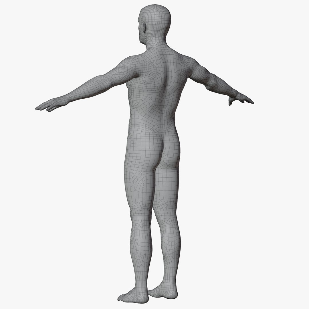 Rigged Male and Female Mannequin model https://p.turbosquid.com/ts-thumb/uH/GIvsDZ/t0/maleaposewire4/png/1716514326/1920x1080/fit_q87/bdd2675c23f49680442db678194aee51a00fa4d9/maleaposewire4.jpg