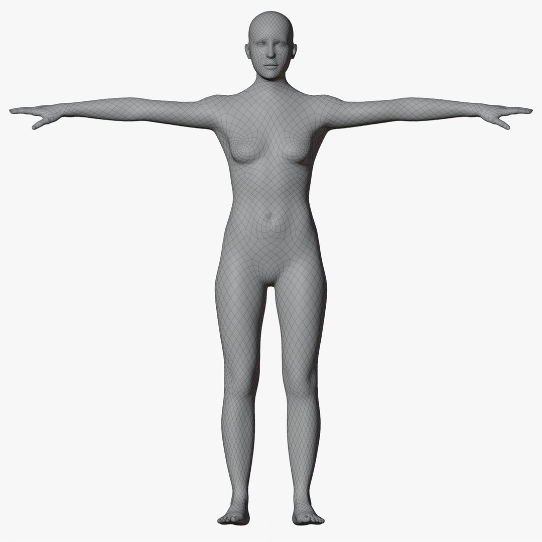 Rigged Male and Female Mannequin model https://p.turbosquid.com/ts-thumb/uH/GIvsDZ/wb/wire360fema1/png/1716517144/1920x1080/fit_q87/307aeda76b816521cb90998b9267b5dc75558ec5/wire360fema1.jpg