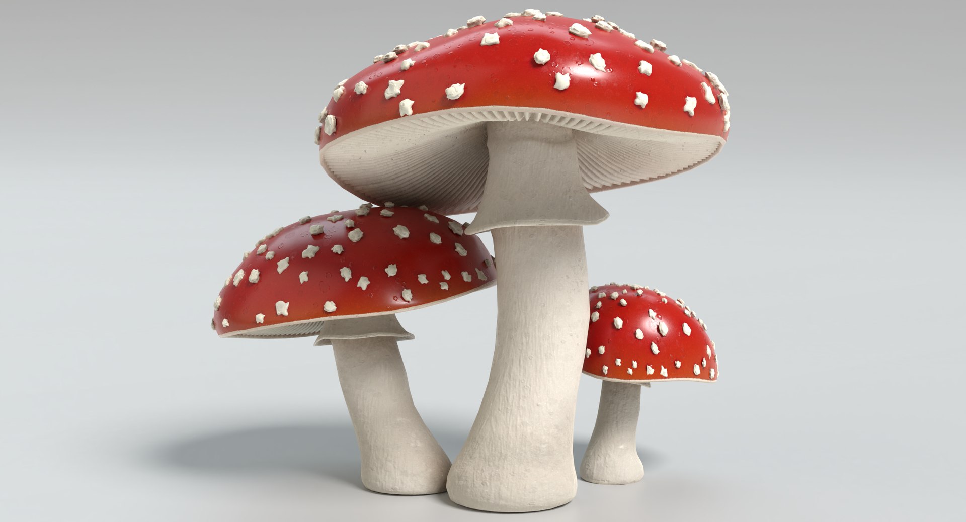 3d amanita mushrooms https://p.turbosquid.com/ts-thumb/uH/J8Kwfw/BLF7gmHX/amanita_thumbnail_colored/png/1554479243/1920x1080/fit_q87/45d77a672273bc57f730b854ebba07828783466d/amanita_thumbnail_colored.jpg