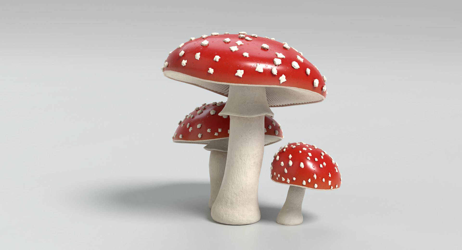 3d amanita mushrooms https://p.turbosquid.com/ts-thumb/uH/J8Kwfw/MuN0DNBw/amanita_images0032/png/1554479349/1920x1080/fit_q87/671e69d0385f46010fb58c3e9f44c89c08d95f69/amanita_images0032.jpg