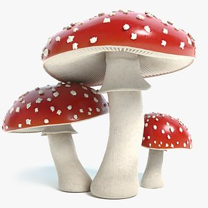 3d amanita mushrooms