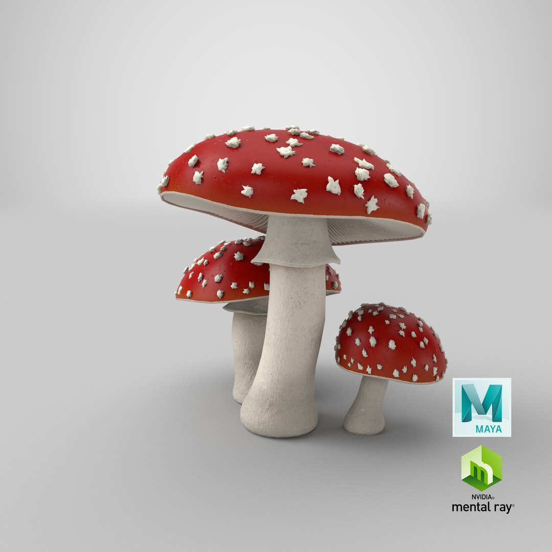3d amanita mushrooms https://p.turbosquid.com/ts-thumb/uH/J8Kwfw/iVRKhn3l/stemcell_maya_mental_ray_render/png/1554751956/1920x1080/fit_q87/927c913455443210ae59637a015aac02b36c4ccb/stemcell_maya_mental_ray_render.jpg
