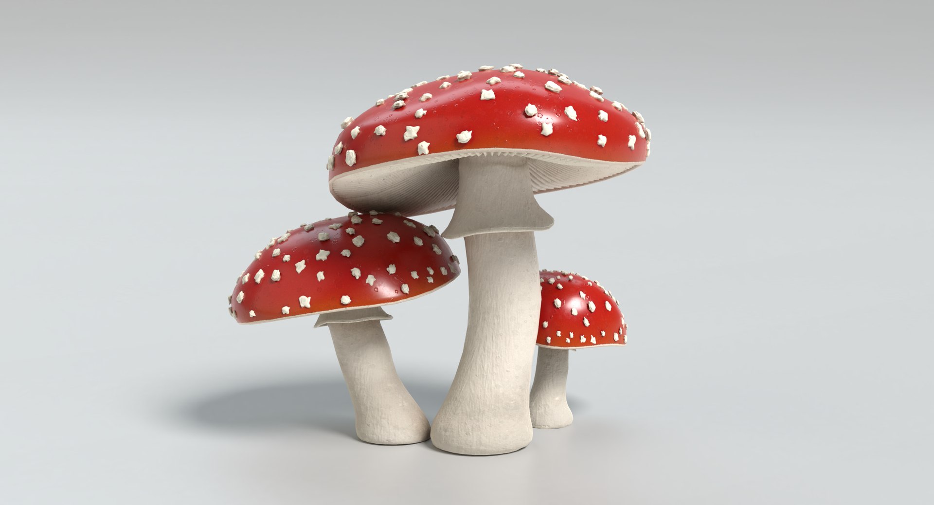 3d amanita mushrooms https://p.turbosquid.com/ts-thumb/uH/J8Kwfw/lUBWnaGU/amanita_images0002/png/1554479349/1920x1080/fit_q87/ce674d3ee24c89999317546f385fa3e1bf767c29/amanita_images0002.jpg