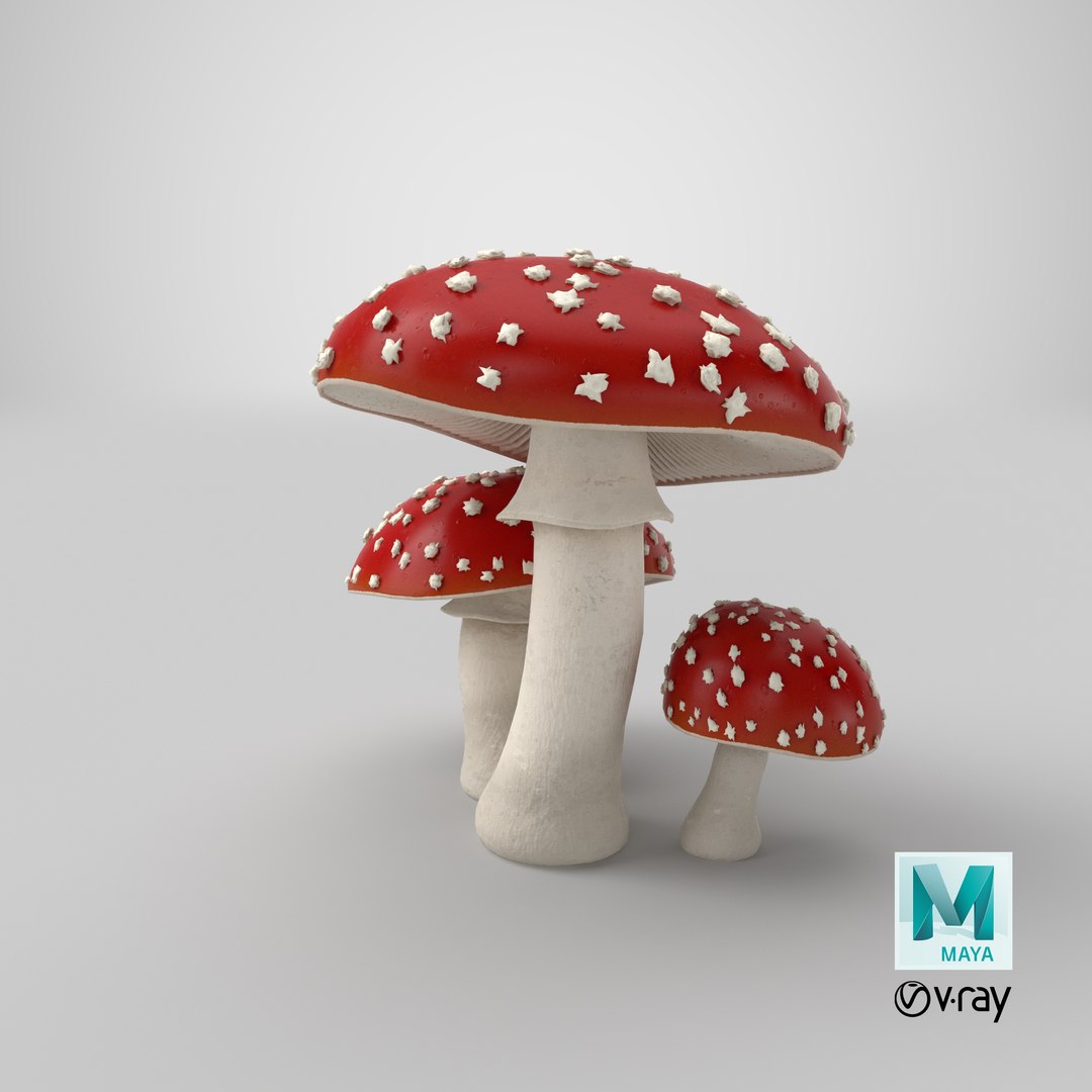 3d amanita mushrooms https://p.turbosquid.com/ts-thumb/uH/J8Kwfw/pswaXUWg/stemcell_maya_vray_render/png/1554751952/1920x1080/fit_q87/f6d54954f67197460ed873aa3b413076b8a16ddc/stemcell_maya_vray_render.jpg
