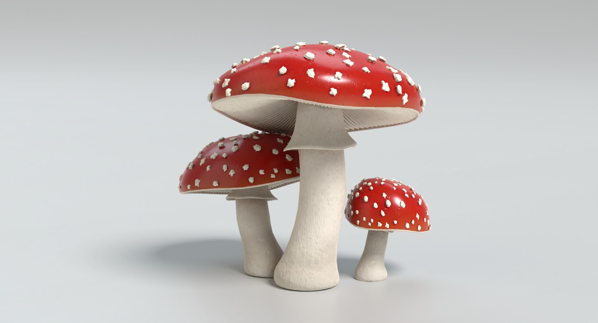 3d amanita mushrooms https://p.turbosquid.com/ts-thumb/uH/J8Kwfw/w039Al6D/amanita_images0035/png/1554479350/1920x1080/fit_q87/d749a4245ba0a7ac3e009597a5fbe156d67d9819/amanita_images0035.jpg