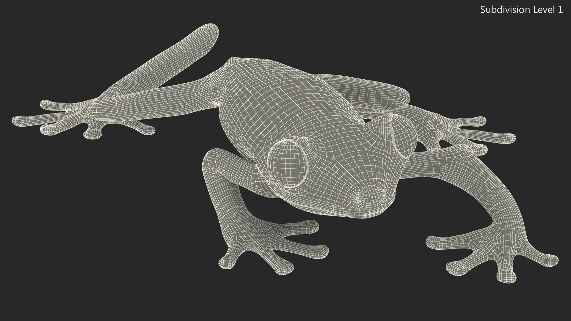 Agalychnis Callidryas 3D model https://p.turbosquid.com/ts-thumb/uH/Lp4yOB/Ee/agalychniscallidryasc4dmodel013/jpg/1722516394/1920x1080/fit_q87/1c90ee988bf1db105d1ab61f905812a1054602f2/agalychniscallidryasc4dmodel013.jpg
