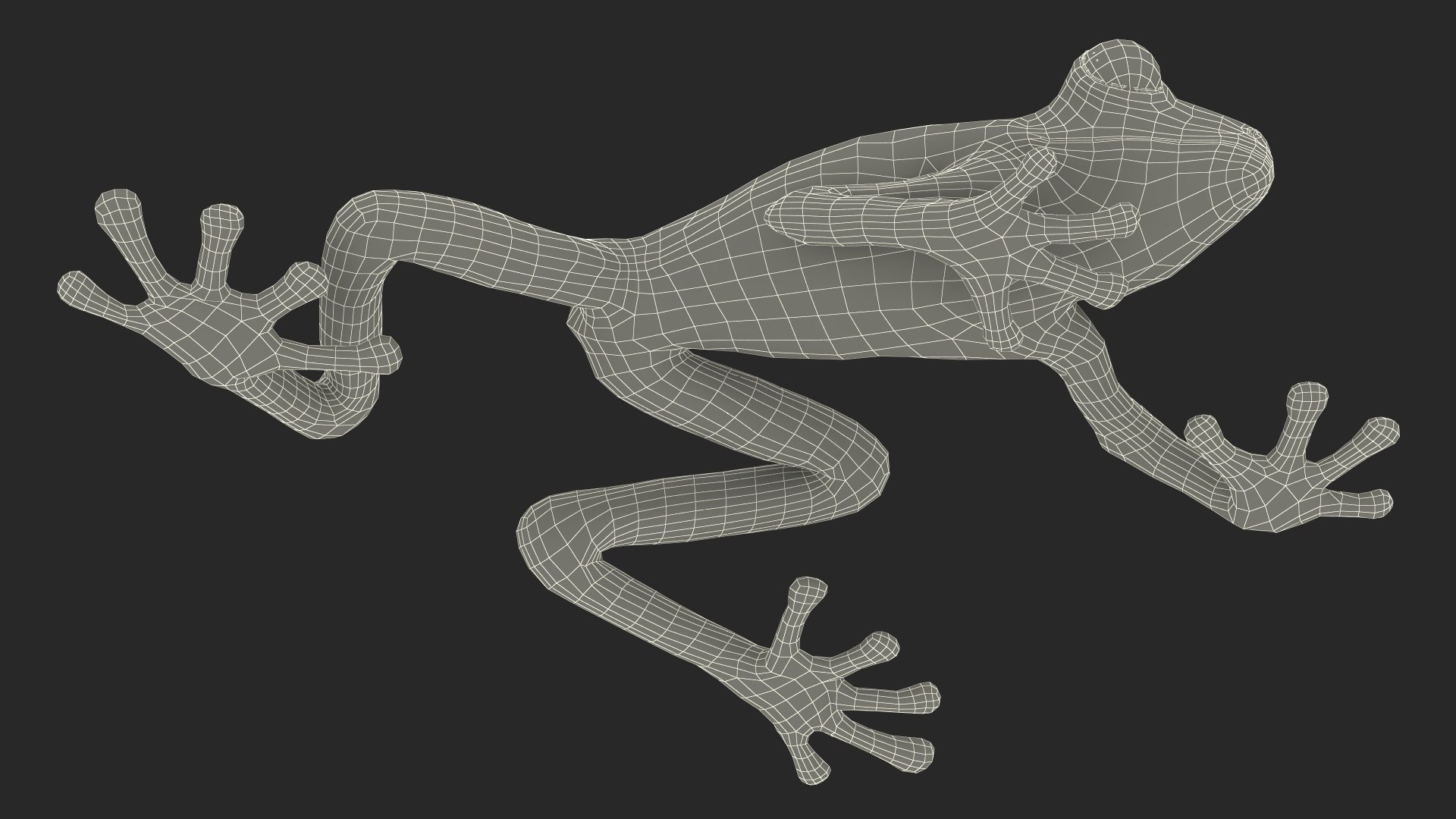 Agalychnis Callidryas 3D model https://p.turbosquid.com/ts-thumb/uH/Lp4yOB/KK/agalychniscallidryasc4dmodel019/jpg/1722516434/1920x1080/fit_q87/1f4ff1da14c600c064f2dc61d5caf48d1e0024ec/agalychniscallidryasc4dmodel019.jpg