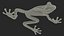Agalychnis Callidryas