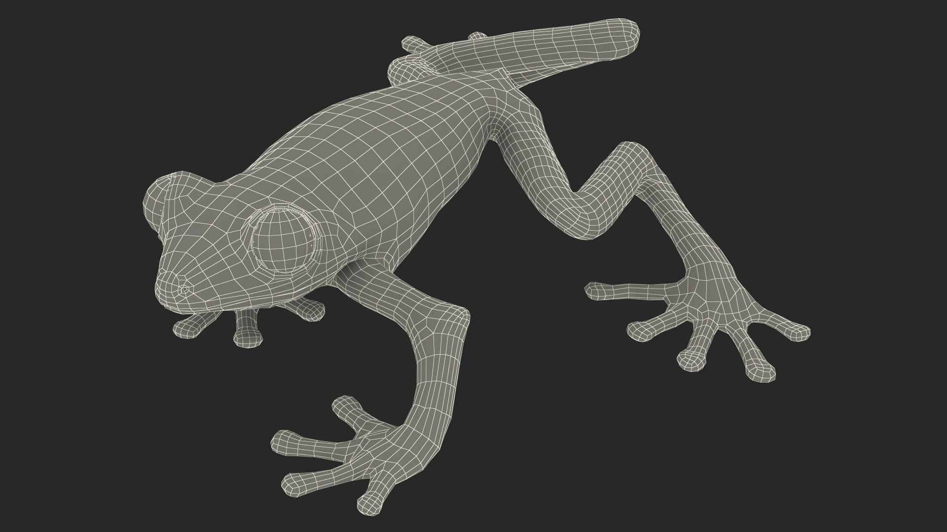 Agalychnis Callidryas 3D model https://p.turbosquid.com/ts-thumb/uH/Lp4yOB/V8/agalychniscallidryasc4dmodel017/jpg/1722516420/1920x1080/fit_q87/f3bafd400b9fe96cc5194a9ac359c748eb3bbf30/agalychniscallidryasc4dmodel017.jpg