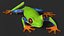 Agalychnis Callidryas