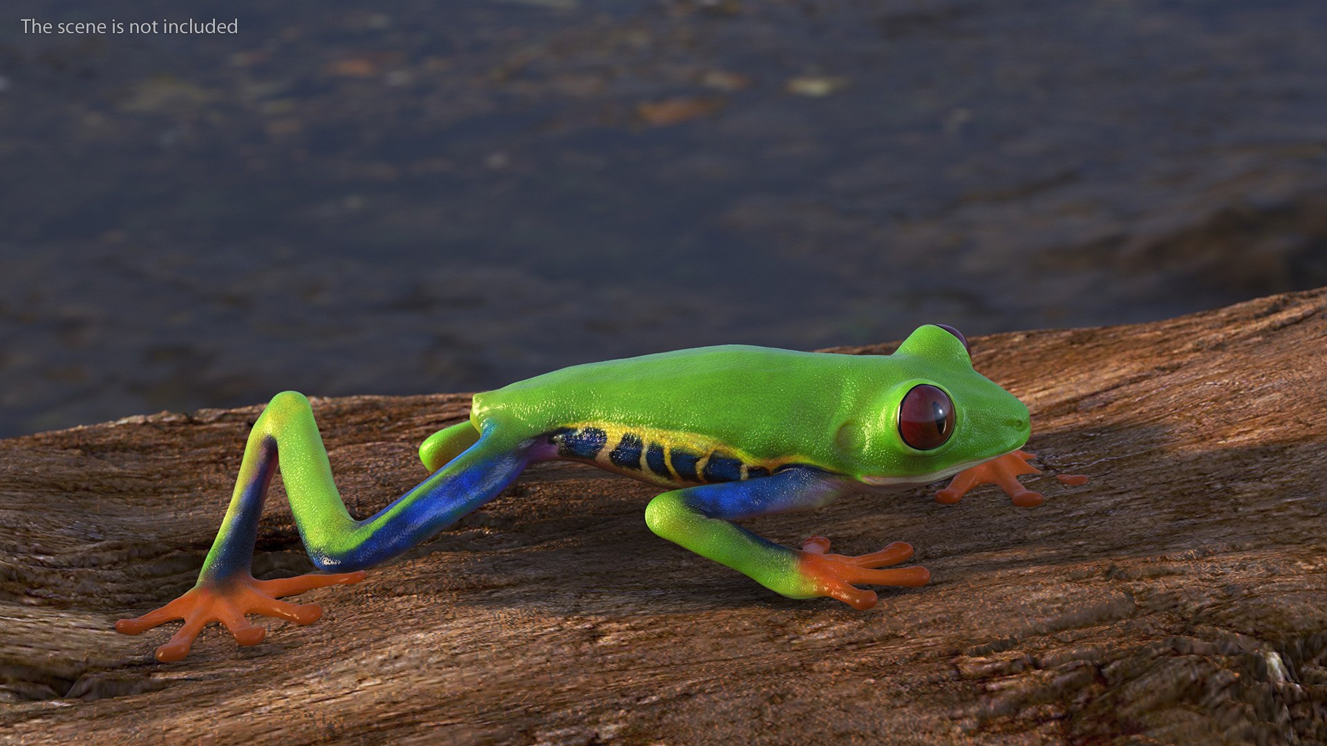 Agalychnis Callidryas 3D model https://p.turbosquid.com/ts-thumb/uH/Lp4yOB/iq/agalychniscallidryasc4dmodel002/jpg/1722516325/1920x1080/fit_q87/203417983f487f7cddbb8aa83d655bb5a890532e/agalychniscallidryasc4dmodel002.jpg