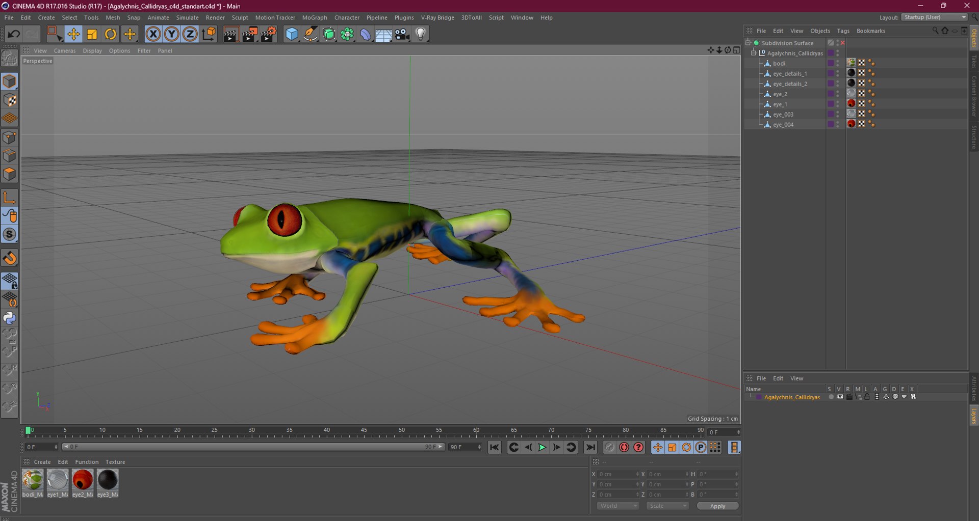 Agalychnis Callidryas 3D model https://p.turbosquid.com/ts-thumb/uH/Lp4yOB/mE/agalychniscallidryasc4dmodel028/jpg/1722516453/1920x1080/fit_q87/cd0cc9113536000638ef818b7efc0f31b14775e7/agalychniscallidryasc4dmodel028.jpg