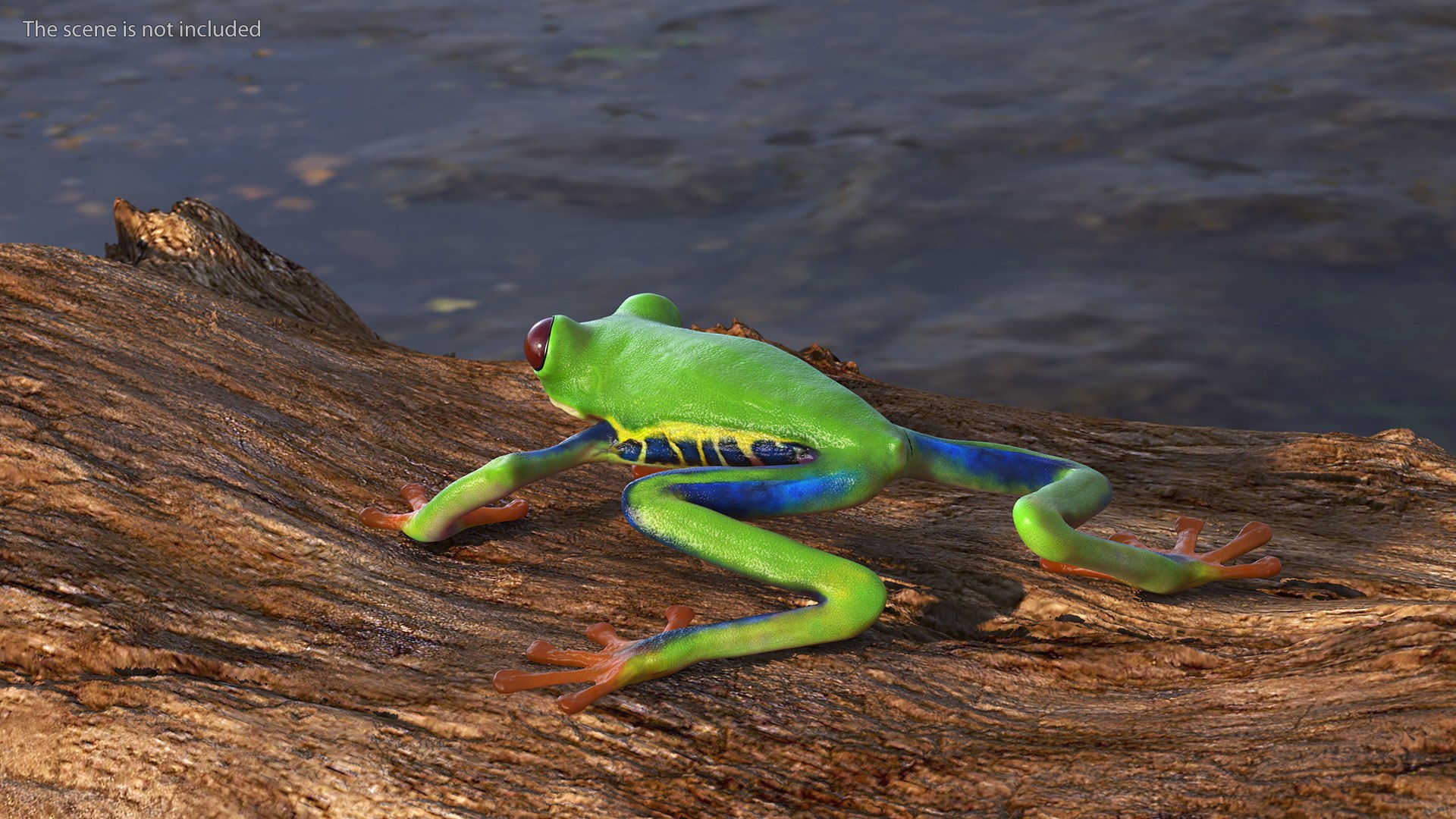 Agalychnis Callidryas 3D model https://p.turbosquid.com/ts-thumb/uH/Lp4yOB/qQ/agalychniscallidryasc4dmodel003/jpg/1722516330/1920x1080/fit_q87/a1332ea59a9ab59e8f69c6e96aafd92548b657f5/agalychniscallidryasc4dmodel003.jpg