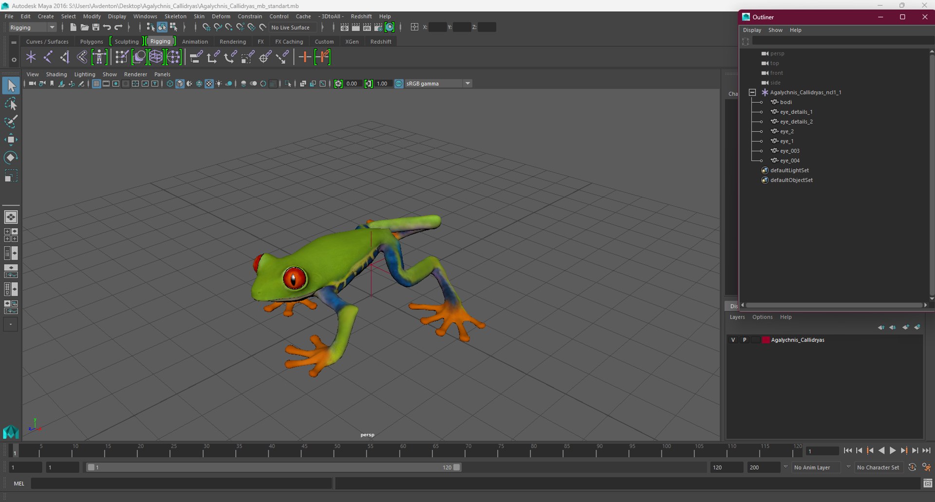 Agalychnis Callidryas 3D model https://p.turbosquid.com/ts-thumb/uH/Lp4yOB/xR/agalychniscallidryasc4dmodel029/jpg/1722516459/1920x1080/fit_q87/247523910030be0e443bf8db1a7a32b9b772f8bf/agalychniscallidryasc4dmodel029.jpg