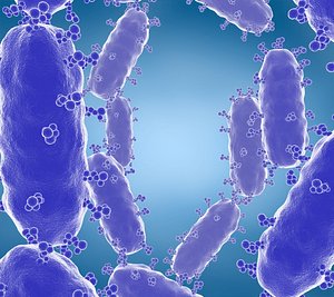 viruses bacteria science cells model