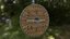 Scandinavian shield